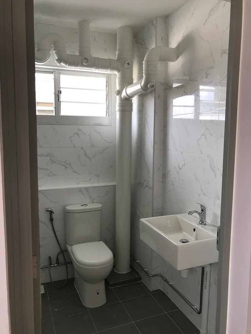 Living Art Toilet Design